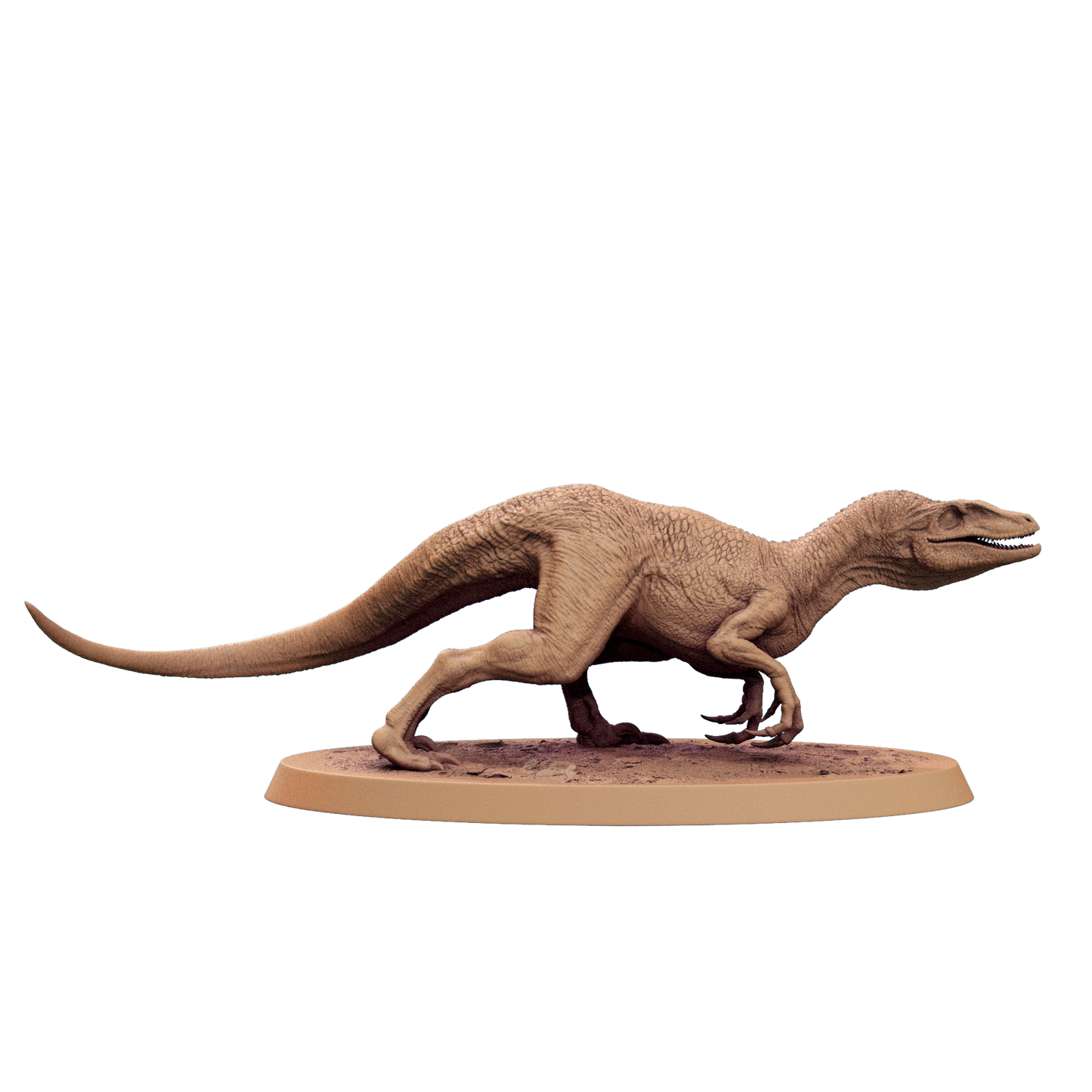 Velociraptor