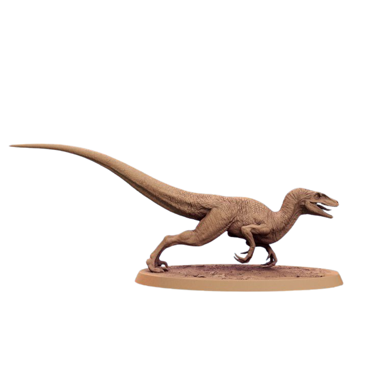 Branco di Velociraptor