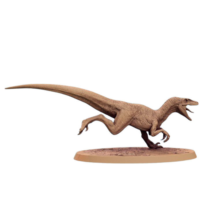 Branco di Velociraptor