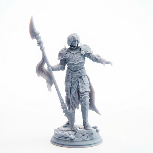 Paladino del Sole Nero