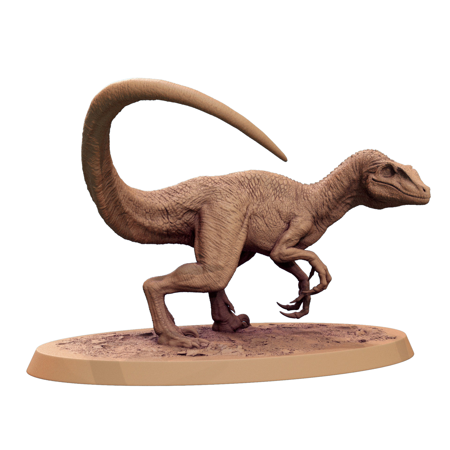 Branco di Velociraptor