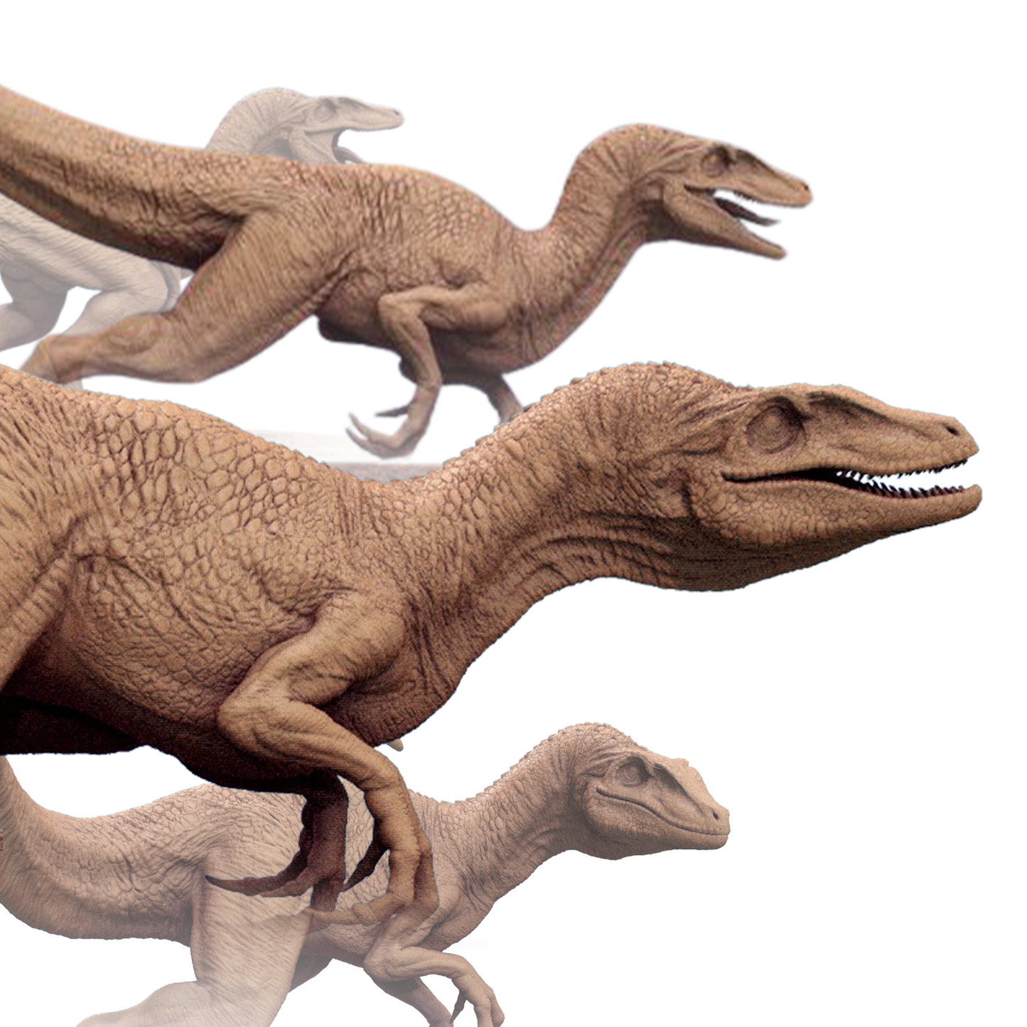 Branco di Velociraptor