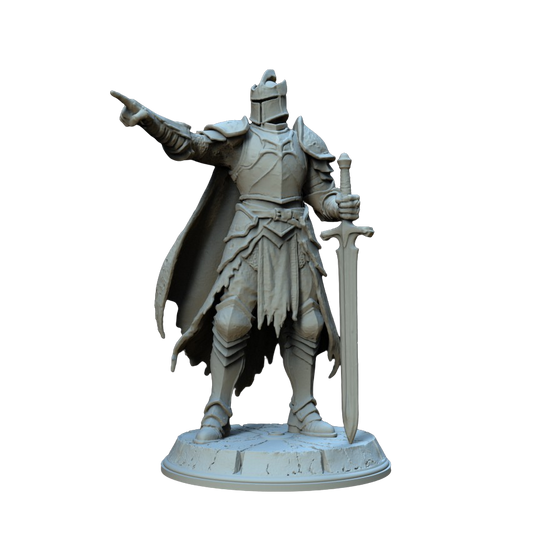 Sir Terin, la Sentinella di Bronzo